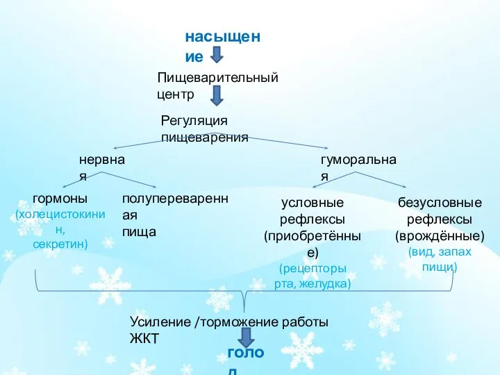 голод Пищеварительный центр Регуляция пищеварения нервная гуморальная условные рефлексы (приобретённые) (рецепторы