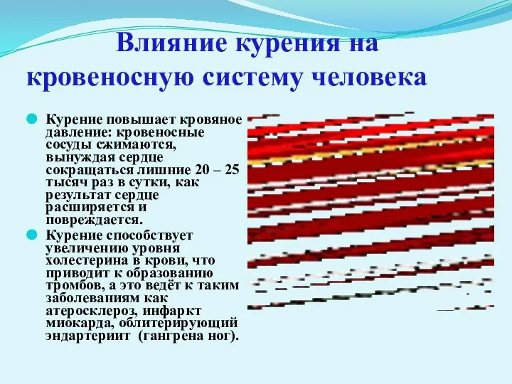 Влияние курения на кровеносную систему человека Курение повышает кровяное давление: кровеносные