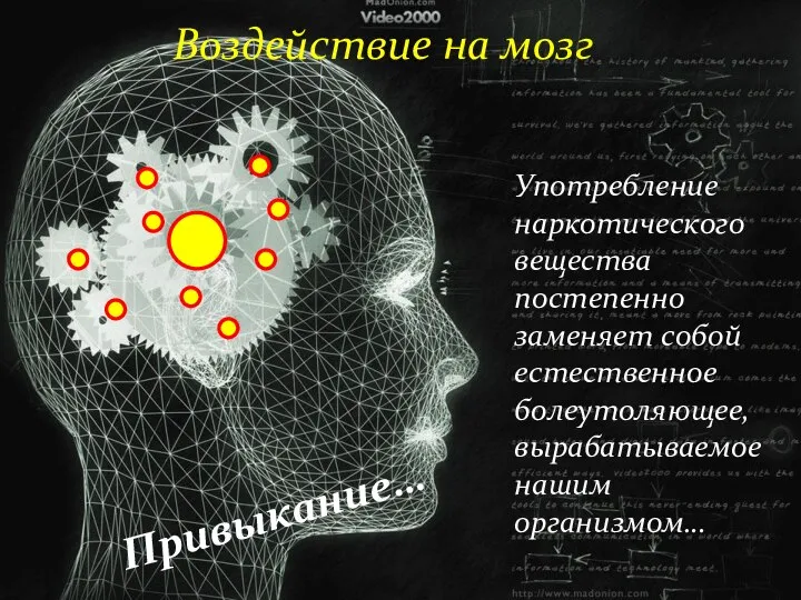 Воздействие на мозг Привыкание… Употребление наркотического вещества постепенно заменяет собой естественное болеутоляющее, вырабатываемое нашим организмом…