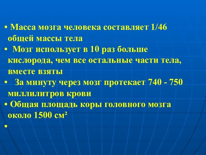 . Масса мозга человека составляет 1/46 общей массы тела Мозг использует