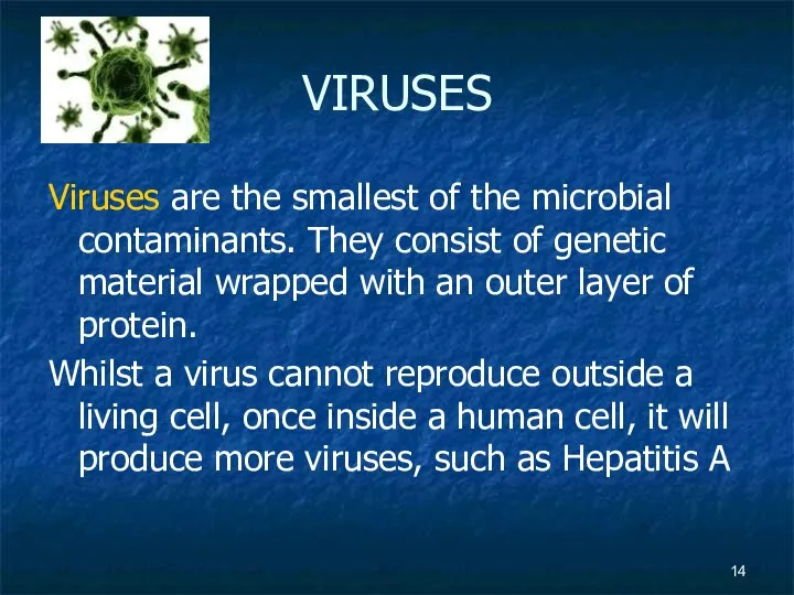 VIRUSES Viruses are the smallest of the microbial contaminants. They consist