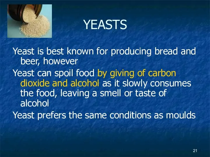 YEASTS Yeast is best known for producing bread and beer, however