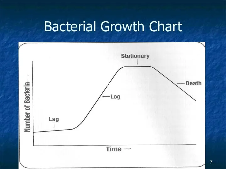 Bacterial Growth Chart Bacterial Growth