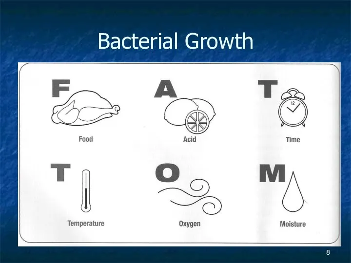 Bacterial Growth