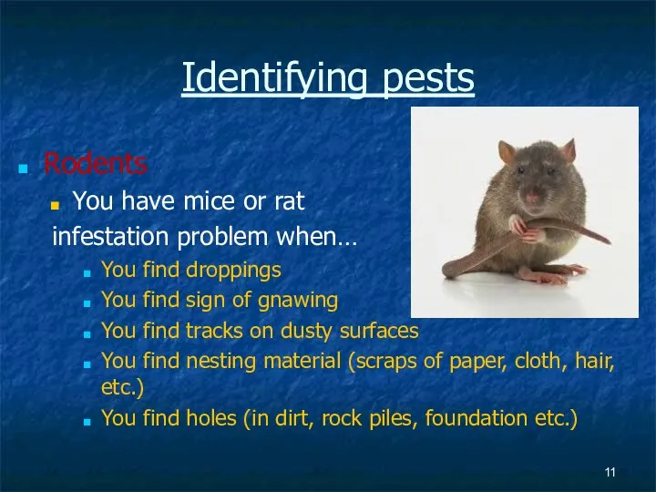 Identifying pests Rodents You have mice or rat infestation problem when…