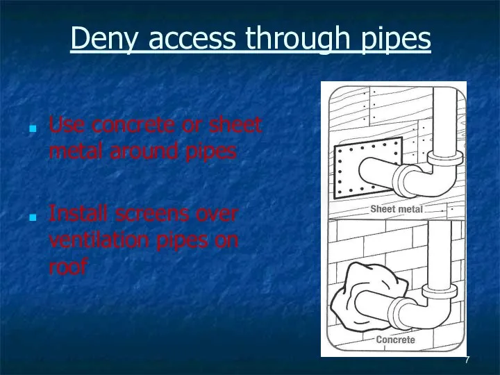 Deny access through pipes Use concrete or sheet metal around pipes