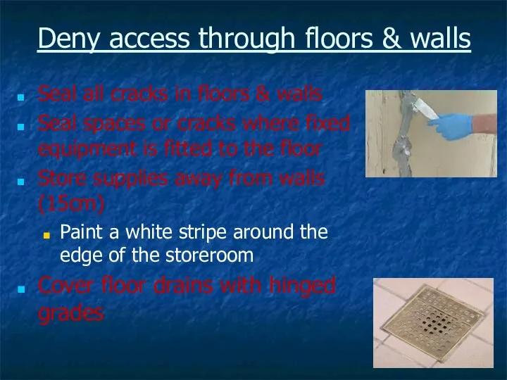 Deny access through floors & walls Seal all cracks in floors