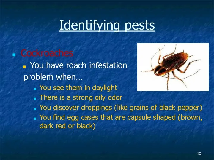 Identifying pests Cockroaches You have roach infestation problem when… You see