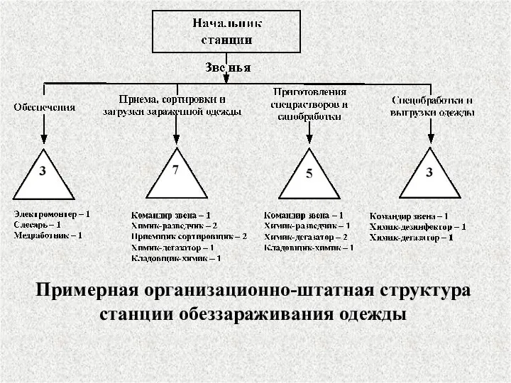 Примерная организационно-штатная структура станции обеззараживания одежды