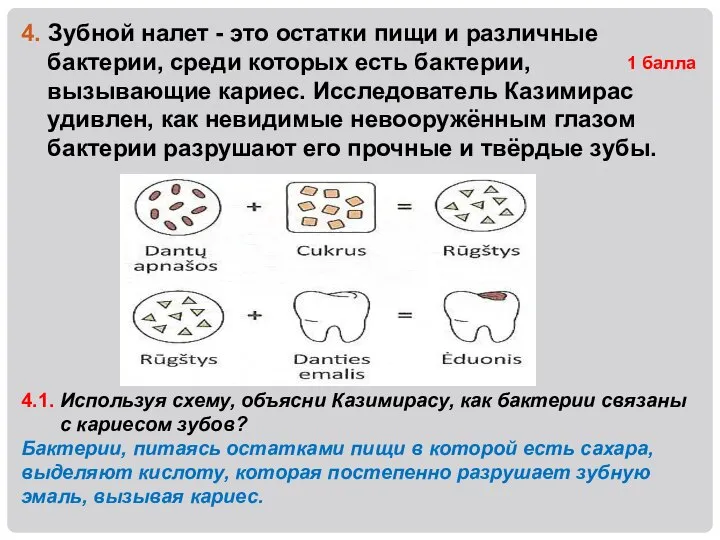 4. Зубной налет - это остатки пищи и различные бактерии, среди