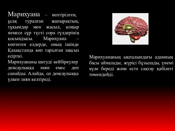 Марихуана – кептірілген, ұсақ туралған жапырақтың, тұқымдар мен жасыл, қоңыр немесе