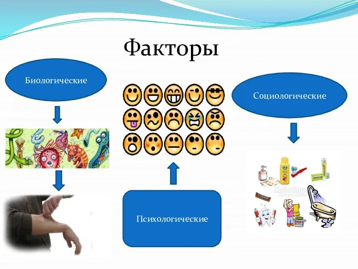 Факторы Биологические Психологические Социологические