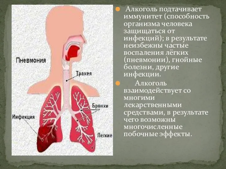 Алкоголь подтачивает иммунитет (способность организма человека защищаться от инфекций); в результате