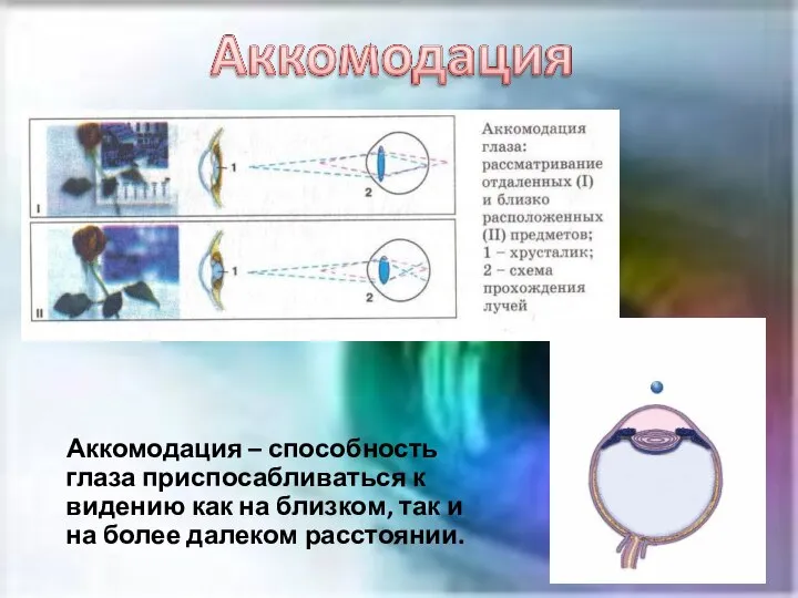 Аккомодация – способность глаза приспосабливаться к видению как на близком, так и на более далеком расстоянии.