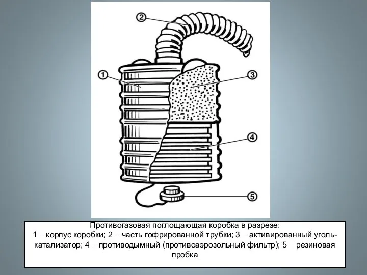 Противогазовая поглощающая коробка в разрезе: 1 – корпус коробки; 2 –