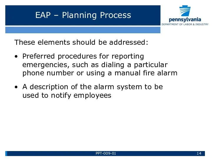 EAP – Planning Process These elements should be addressed: Preferred procedures