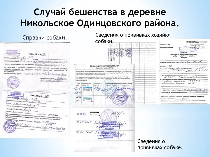 Случай бешенства в деревне Никольское Одинцовского района. Справки собаки. Сведения о