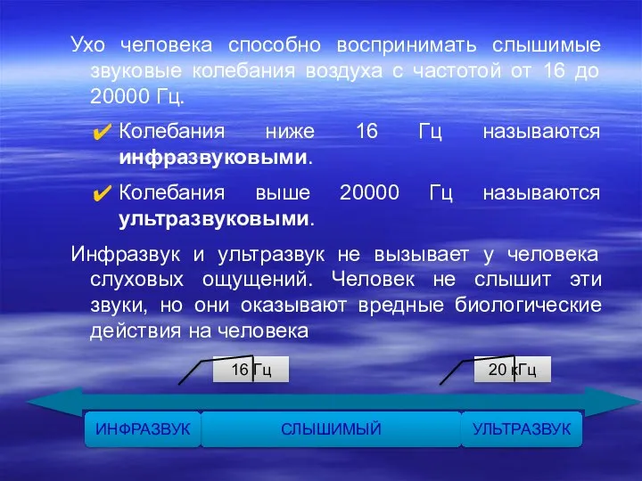 Ухо человека способно воспринимать слышимые звуковые колебания воздуха с частотой от