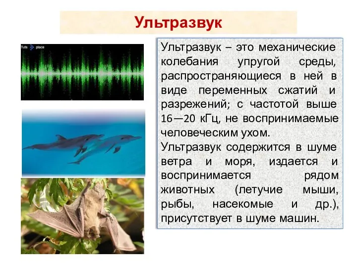 Ультразвук Ультразвук – это механические колебания упругой среды, распространяющиеся в ней