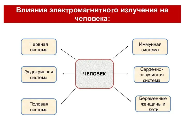 Влияние электромагнитного излучения на человека: Нервная система Половая система Эндокринная система