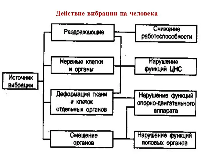 Действие вибрации на человека