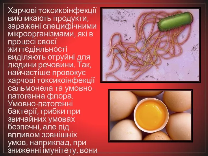 Харчові токсикоінфекції викликають продукти, заражені специфічними мікроорганізмами, які в процесі своєї