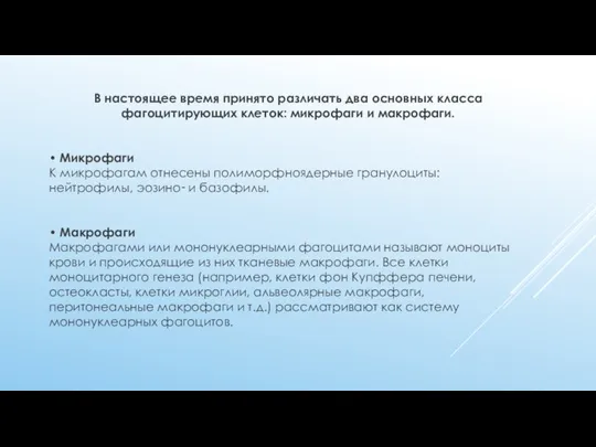 В настоящее время принято различать два основных класса фагоцитирующих клеток: микрофаги