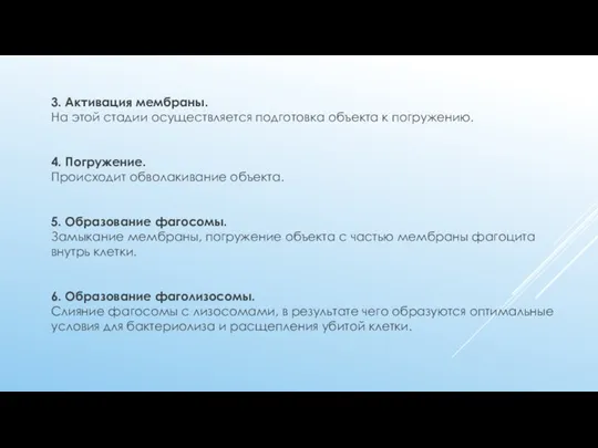 3. Активация мембраны. На этой стадии осуществляется подготовка объекта к погружению.