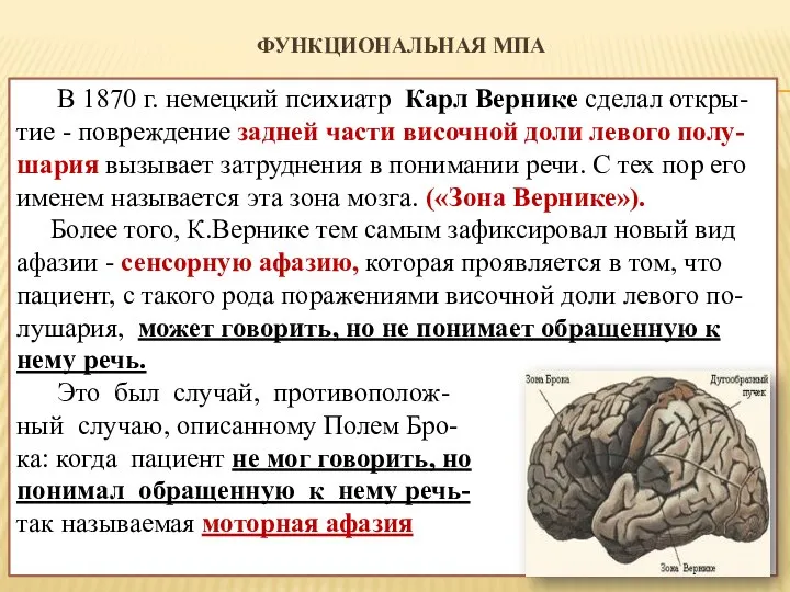 ФУНКЦИОНАЛЬНАЯ МПА В 1870 г. немецкий психиатр Карл Вернике сделал откры-тие