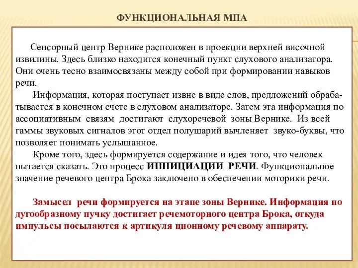 ФУНКЦИОНАЛЬНАЯ МПА Сенсорный центр Вернике расположен в проекции верхней височной извилины.