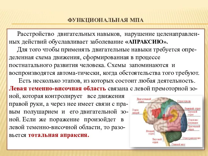 ФУНКЦИОНАЛЬНАЯ МПА Расстройство двигательных навыков, нарушение целенаправлен-ных действий обуславливает заболевание «АПРАКСИЮ».