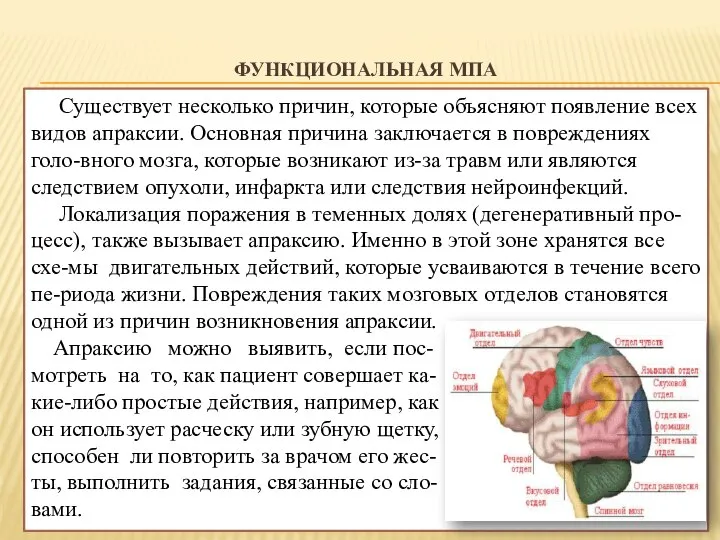 ФУНКЦИОНАЛЬНАЯ МПА Существует несколько причин, которые объясняют появление всех видов апраксии.