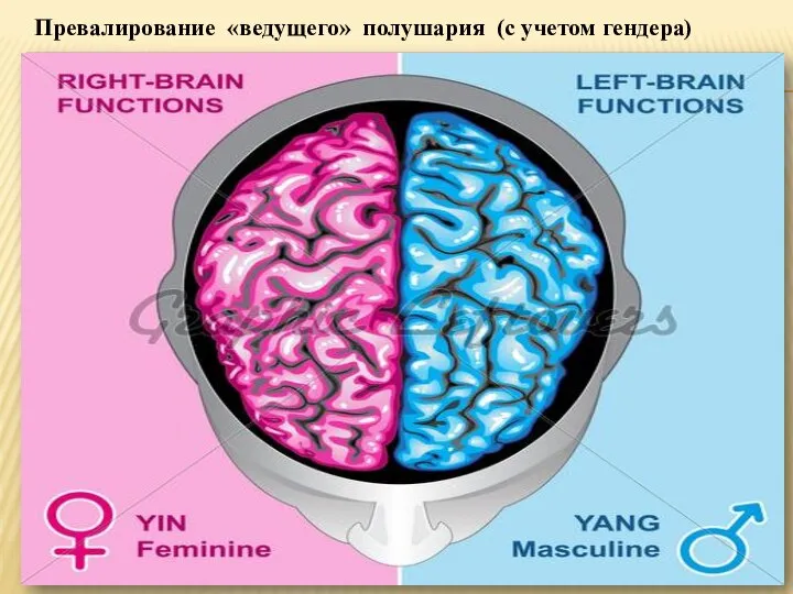 Превалирование «ведущего» полушария (с учетом гендера)