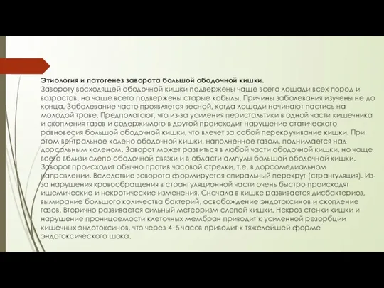 Этиология и патогенез заворота большой ободочной кишки. Завороту восходящей ободочной кишки