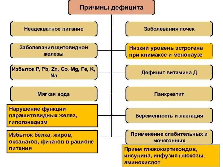 Прием глюкокортикоидов, инсулина, инфузия глюкозы, аминокислот Избыток белка, жиров, оксалатов, фитатов