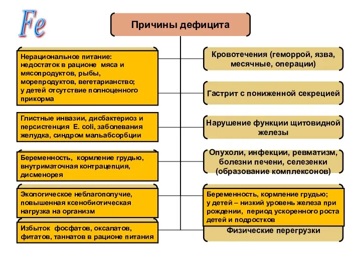 Fe Нерациональное питание: недостаток в рационе мяса и мясопродуктов, рыбы, морепродуктов,