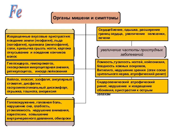 Fe Извращенные вкусовые пристрастия: поедание земли (геофагия), льда (пагофагия), крахмала (амилофагия),