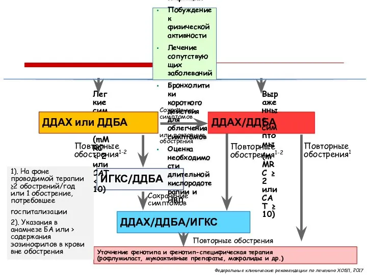 ДДАХ/ДДБА ИГКС/ДДБА ДДАХ/ДДБА/ИГКС Уточнение фенотипа и фенотип-специфическая терапия (рофлумиласт, мукоактивные препараты,