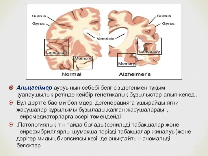 Альцгеймер ауруының себебі белгісіз,дегенмен тұқым қуалаушылық ретінде кейбір генетикалық бұзылыстар алып