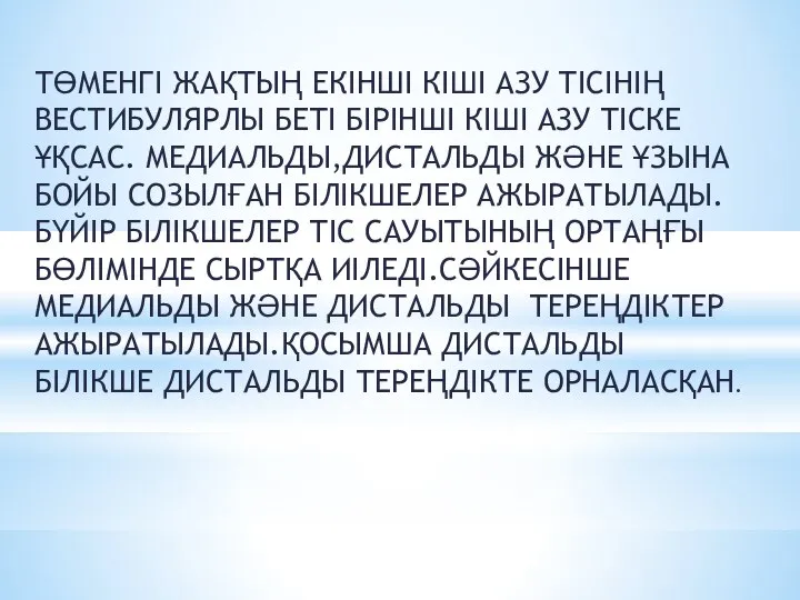 ТӨМЕНГІ ЖАҚТЫҢ ЕКІНШІ КІШІ АЗУ ТІСІНІҢ ВЕСТИБУЛЯРЛЫ БЕТІ БІРІНШІ КІШІ АЗУ