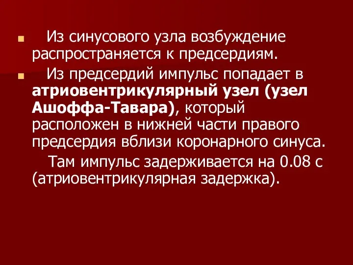 Из синусового узла возбуждение распространяется к предсердиям. Из предсердий импульс попадает