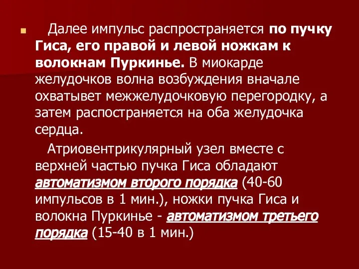 Далее импульс распространяется по пучку Гиса, его правой и левой ножкам