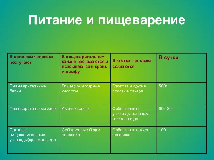 Питание и пищеварение