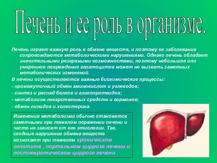 Печень играет важную роль в обмене веществ, и поэтому ее заболевания