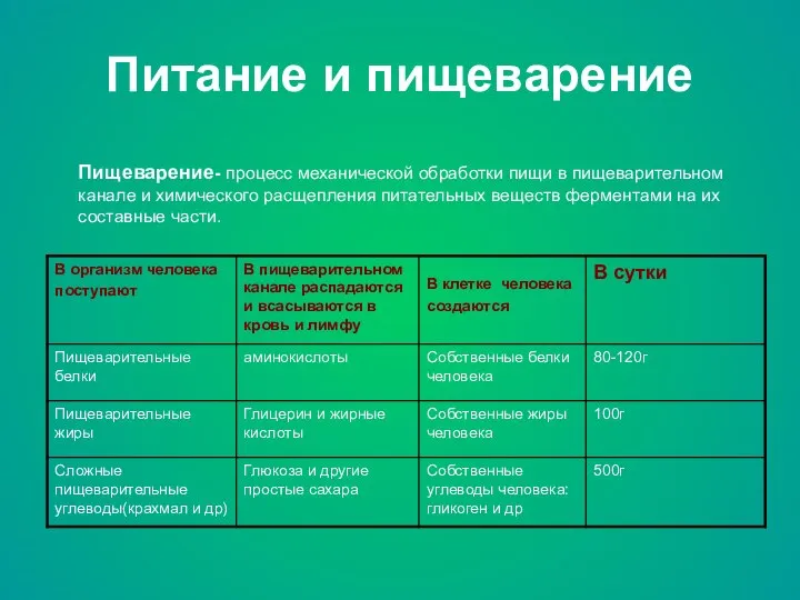 Питание и пищеварение Пищеварение- процесс механической обработки пищи в пищеварительном канале