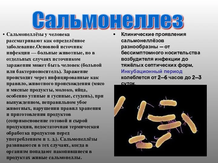 Сальмонеллёзы у человека рассматривают как определённое заболевание.Основной источник инфекции — больные