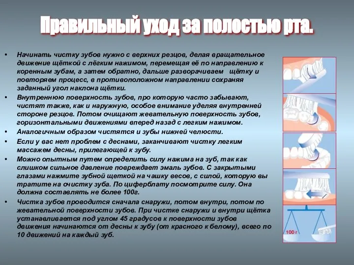 Начинать чистку зубов нужно с верхних резцов, делая вращательное движение щёткой