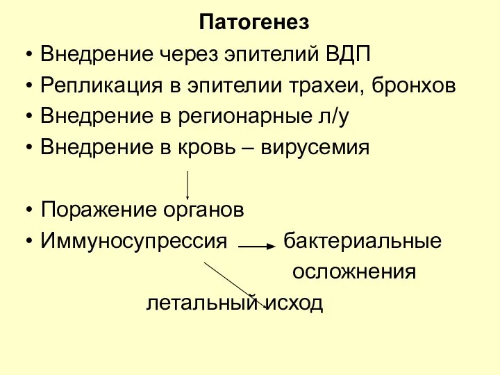 Патогенез Внедрение через эпителий ВДП Репликация в эпителии трахеи, бронхов Внедрение