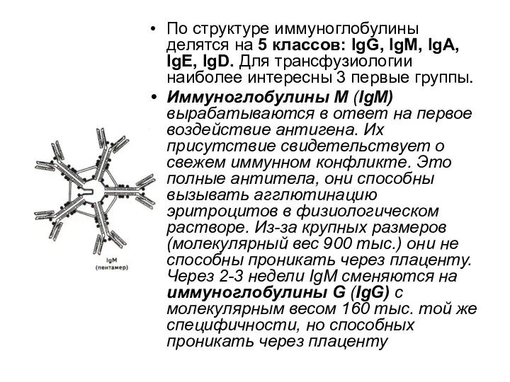 По структуре иммуноглобулины делятся на 5 классов: IgG, IgM, IgA, IgE,