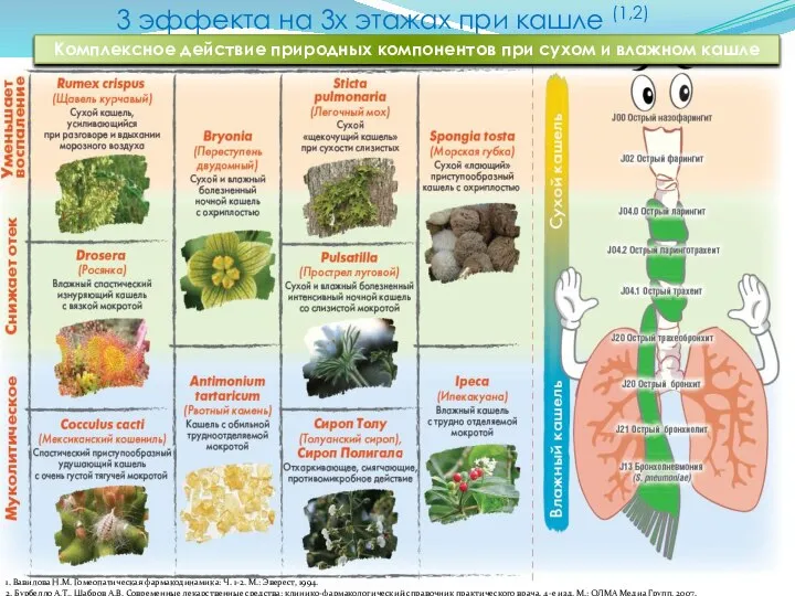 3 эффекта на 3х этажах при кашле (1,2) Комплексное действие природных